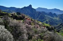Full-day tour to the Sacred Mountains with Tejeda and Artenara peaks