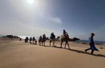 3-day tour of the Atlantic coast and Atlas Mountains from Marrakech