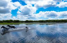 4-hour nature and wildlife guided tour in Sardinia