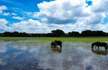 4-hour nature and wildlife guided tour in Sardinia
