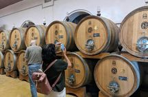 Valpolicella experience with wine and lunch from Lake Garda