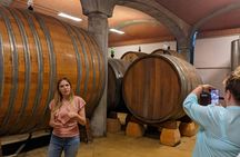 Valpolicella experience with wine and lunch from Lake Garda