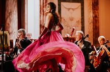 Vienna Hofburg Orchestra: Mozart and Strauss Concert Tickets