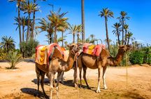 3-day Sahara Desert tour from Marrakech to Merzouga
