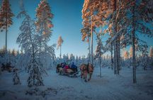 Winter horse-drawn sleigh ride with hot beverage in Trysil