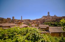 Day Trip to Pisa, Siena and San Gimignano with Optional Lunch