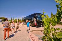 Day Trip to Pisa, Siena and San Gimignano with Optional Lunch