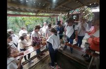 Traditional Colombian Coffee tour from Salento