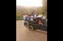 Traditional Colombian Coffee tour from Salento