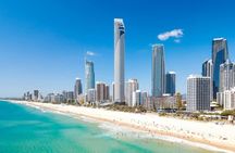 Gold Coast full-day adventure with wildlife spotting and lunch