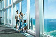 Gold Coast full-day adventure with wildlife spotting and lunch