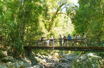 Gold Coast full-day adventure with wildlife spotting and lunch