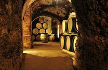 Vitoria and Rioja wine region with winery visit full-day tour from Bilbao
