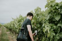 La Rioja guided tour with wine tasting