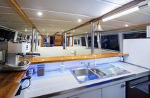 Sunset boat tour to Brijuni National Park with dinner and dolphin watching