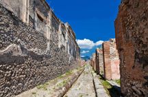Group tour from Naples to Sorrento and Pompeii with lunch