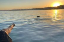 Sunset boat tour with complimentary drink in Fuengirola