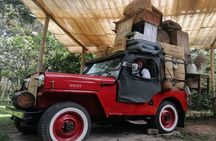 Coffee farm guided tour