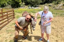 Lasithi Plateau tour with Cretan tastings and pottery lesson