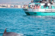 Dolphin watching catamaran cruise along Costa del Sol