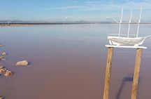 Day trip to Tabarca, Santa Pola with Laguna Rosa ticket from Alicante