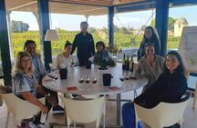 Full-Day Wine Tour in Saint-Emilion and Margaux