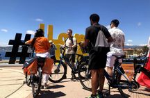 Nice and Villefranche guided e-bike tour