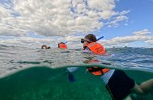 Guided Puerto Morelos Reef Snorkeling with Lunch from Cancun