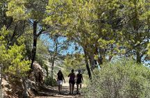 Dragonera Island and Sant Elm village boat trip from Puerto de Andratx