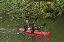 Self-guided two-person kayak tour in Stockholm