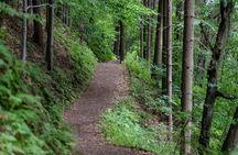 Enipeas Gorge half-day hiking experience with a guide