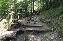 Enipeas Gorge half-day hiking experience with a guide