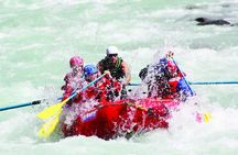 Sunwapta river's Class 3 rapids rafting