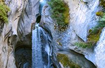 Maligne Valley wildlife and waterfalls tour with cruise