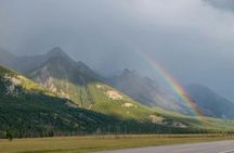 Wildlife search excursion in Jasper National Park