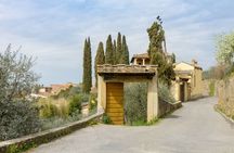 E-bike tour of Florence and Piazzale Michelangelo with surprise tasting
