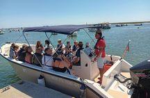 Ria Formosa and Faro Islands catamaran guided tour from Faro