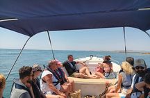 Ria Formosa and Faro Islands catamaran guided tour from Faro