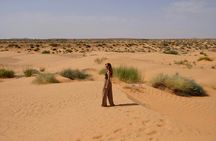 Ksar Ghilane full-day tour from Djerba with dinner at sunset