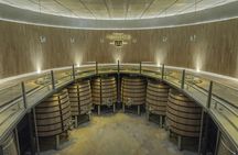 Familia Torres Winery Tour: Gastronomic & Wine Experience