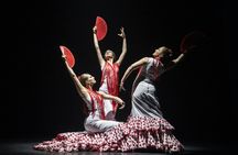 The premium experience at Teatro Flamenco Sevilla