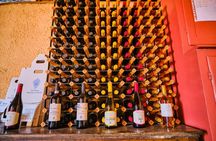 Winemaking guided tour in Florence