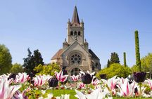 Explore Basel in 1 hour with a local