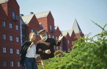 Hamburg 90-minute walking tour with a local