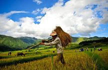 Full day excursion to Pu Luong with pick-up from Hanoi