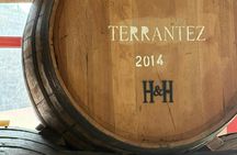 Wine tasting, mountains and coastal villages 4x4 tour in Madeira