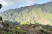 Wine tasting, mountains and coastal villages 4x4 tour in Madeira