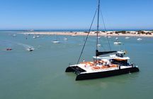 Sancti Petri Castle catamaran experience with lunch