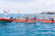 Guided kayak excursion at Port Calanova