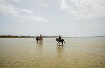 Sunrise camel ride, breakfast, and swimming in Djerba
